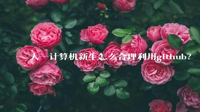 大一计算机新生怎么合理利用github？